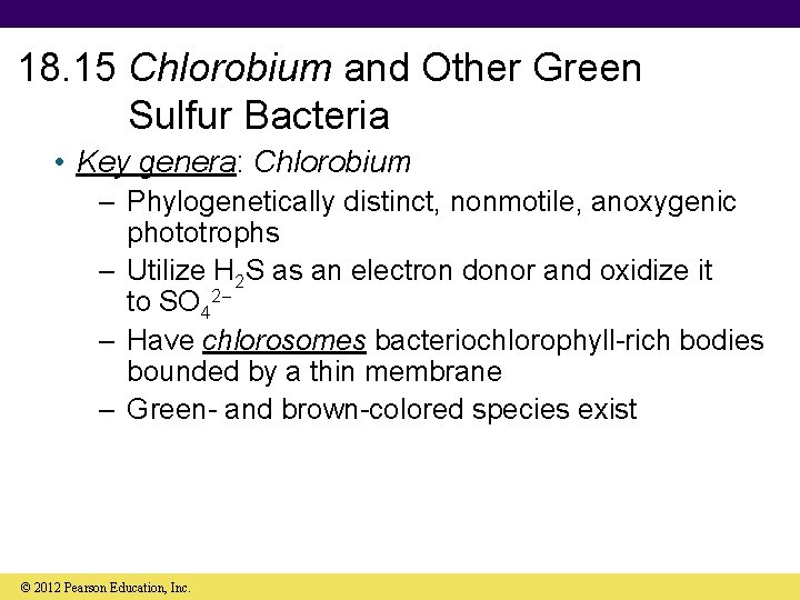 18. 15 Chlorobium and Other Green Sulfur Bacteria • Key genera: Chlorobium – Phylogenetically