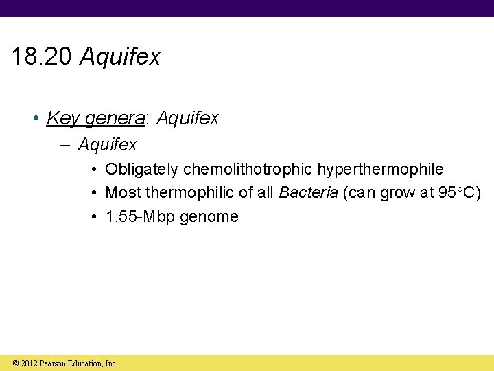 18. 20 Aquifex • Key genera: Aquifex – Aquifex • Obligately chemolithotrophic hyperthermophile •