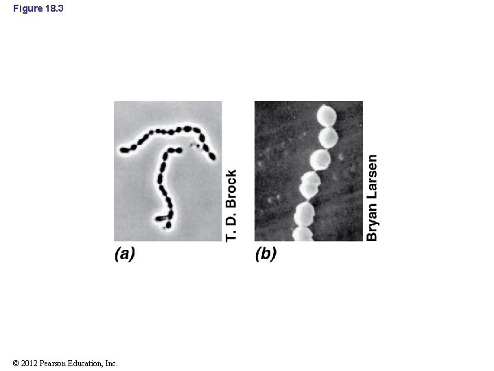 Figure 18. 3 © 2012 Pearson Education, Inc. 