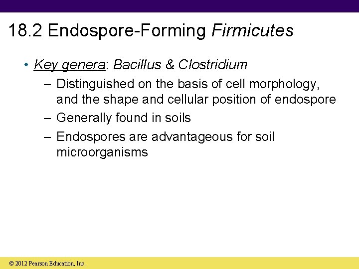 18. 2 Endospore-Forming Firmicutes • Key genera: Bacillus & Clostridium – Distinguished on the