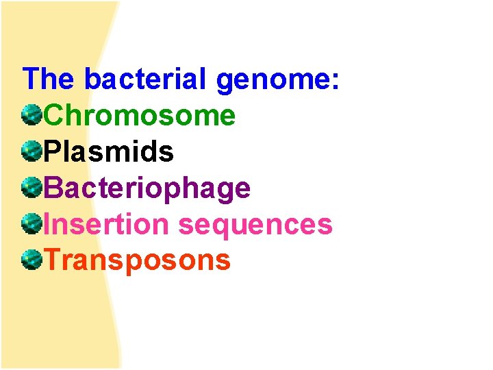 The bacterial genome: Chromosome Plasmids Bacteriophage Insertion sequences Transposons 