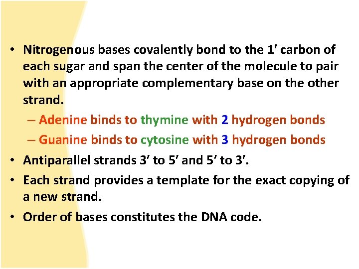  • Nitrogenous bases covalently bond to the 1′ carbon of each sugar and