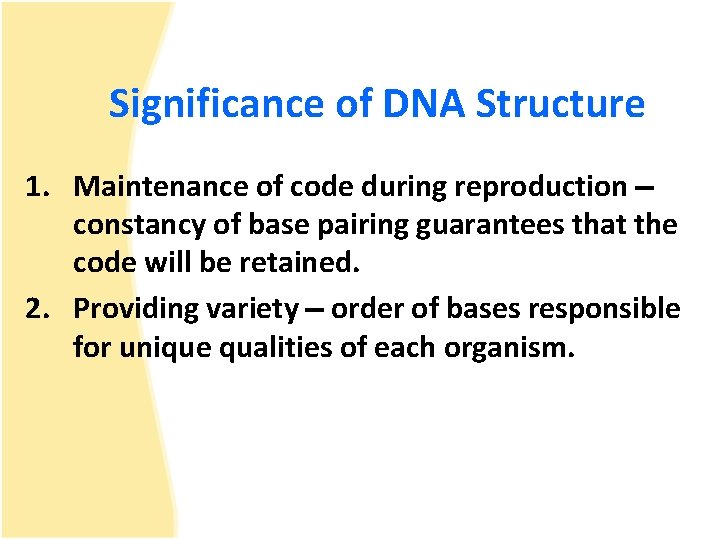 Significance of DNA Structure 1. Maintenance of code during reproduction constancy of base pairing