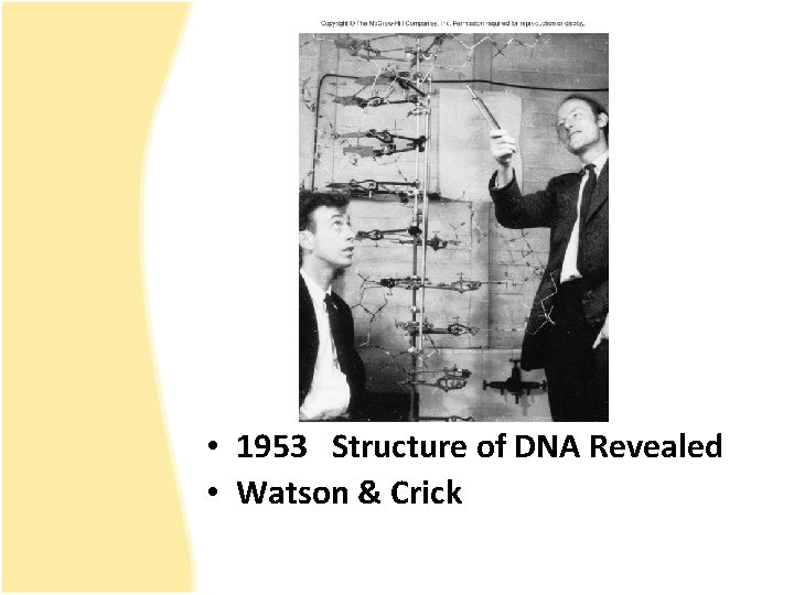  • 1953 Structure of DNA Revealed • Watson & Crick 