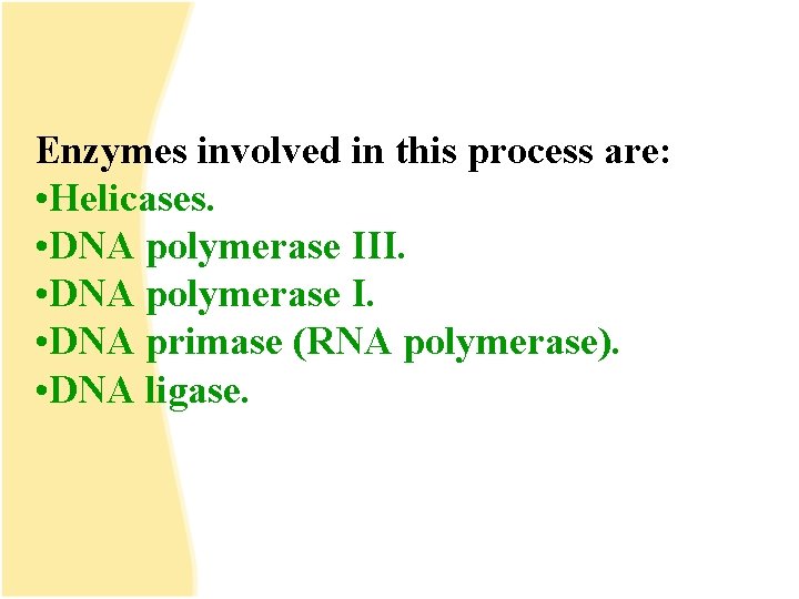 Enzymes involved in this process are: • Helicases. • DNA polymerase III. • DNA