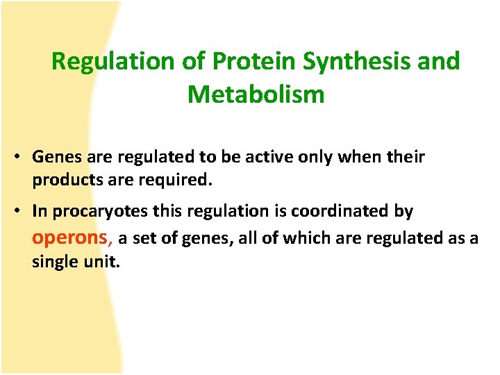 Regulation of Protein Synthesis and Metabolism • Genes are regulated to be active only