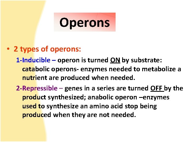 Operons • 2 types of operons: 1 -Inducible – operon is turned ON by
