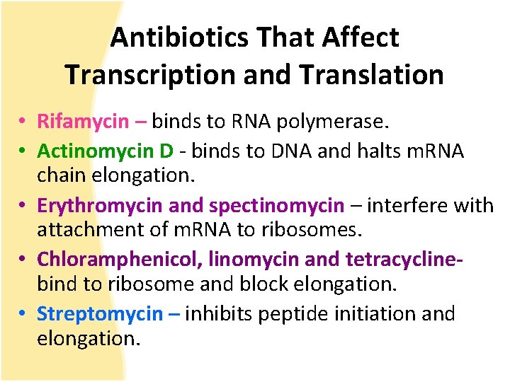 Antibiotics That Affect Transcription and Translation • Rifamycin – binds to RNA polymerase. •