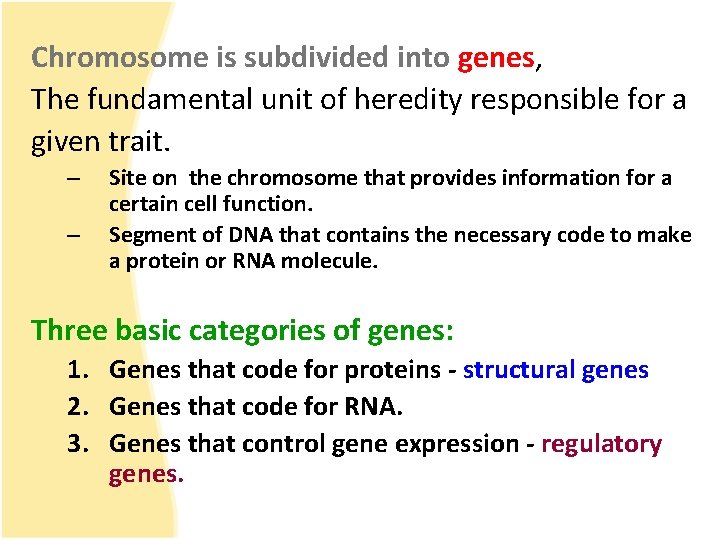 Chromosome is subdivided into genes, The fundamental unit of heredity responsible for a given