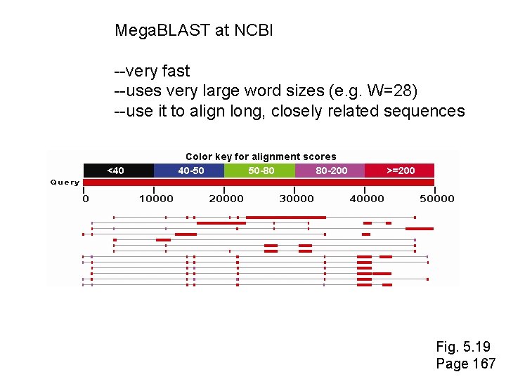 Mega. BLAST at NCBI --very fast --uses very large word sizes (e. g. W=28)