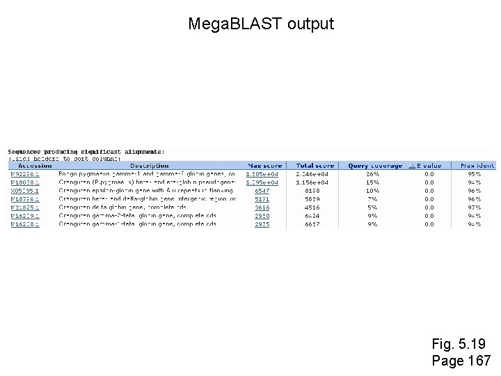 Mega. BLAST output Fig. 5. 19 Page 167 