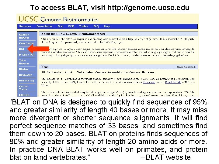 To access BLAT, visit http: //genome. ucsc. edu “BLAT on DNA is designed to