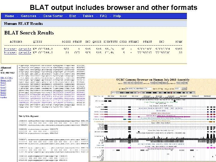 BLAT output includes browser and other formats 
