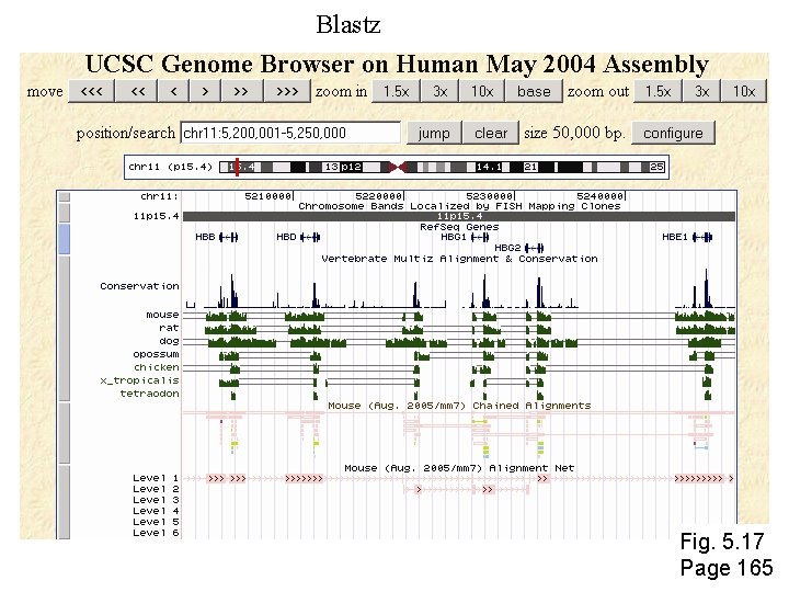 Blastz Fig. 5. 17 Page 165 