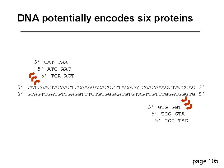 DNA potentially encodes six proteins 5’ CAT CAA 5’ ATC AAC 5’ TCA ACT