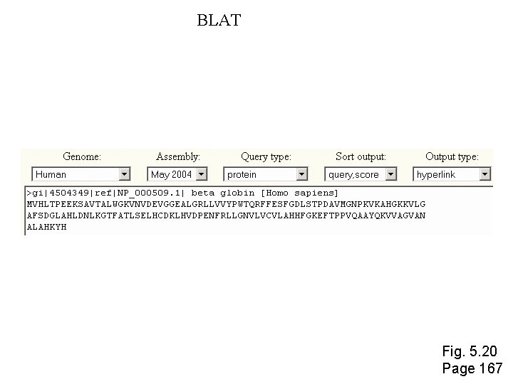 BLAT Fig. 5. 20 Page 167 