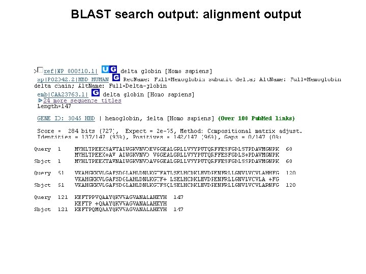 BLAST search output: alignment output 