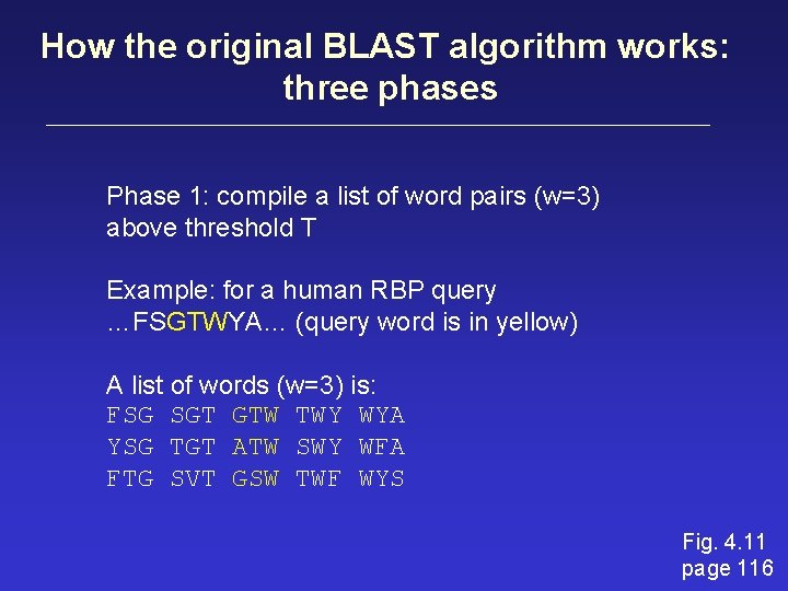 How the original BLAST algorithm works: three phases Phase 1: compile a list of