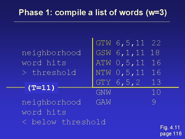 Phase 1: compile a list of words (w=3) neighborhood word hits > threshold (T=11)