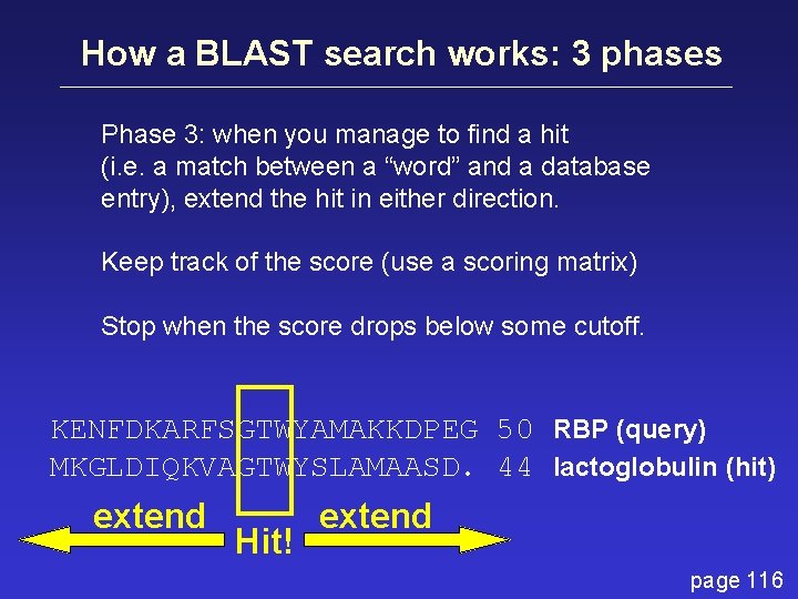 How a BLAST search works: 3 phases Phase 3: when you manage to find