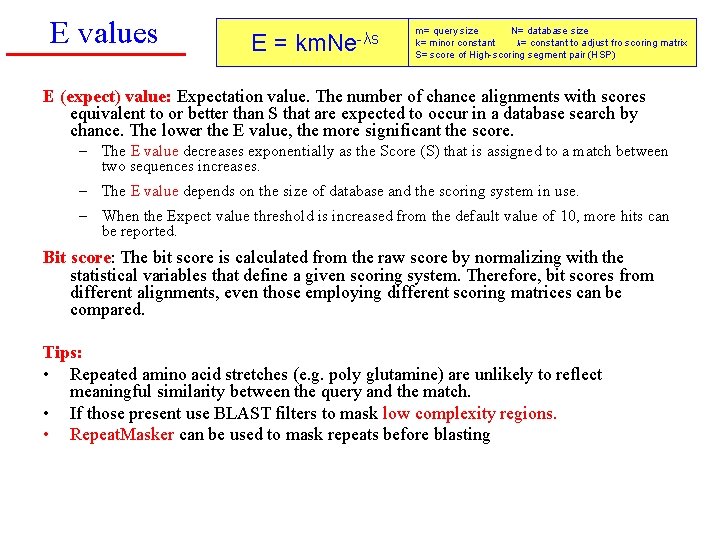 E values E= km. Ne-λs m= query size N= database size k= minor constant