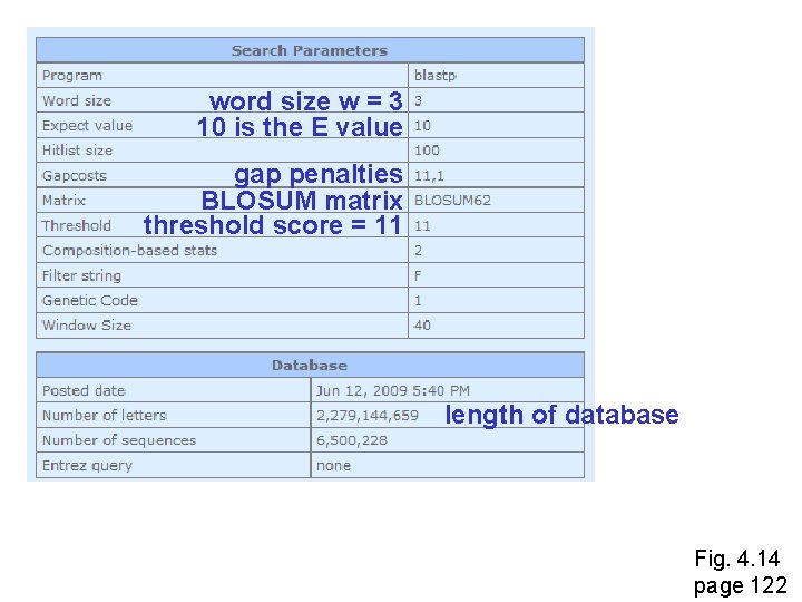 word size w = 3 10 is the E value gap penalties BLOSUM matrix