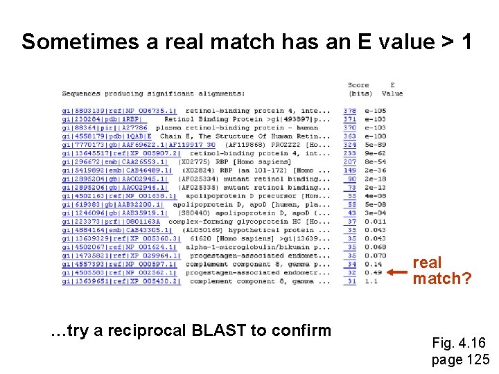 Sometimes a real match has an E value > 1 real match? …try a