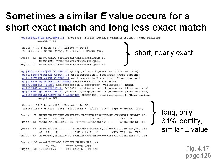 Sometimes a similar E value occurs for a short exact match and long less