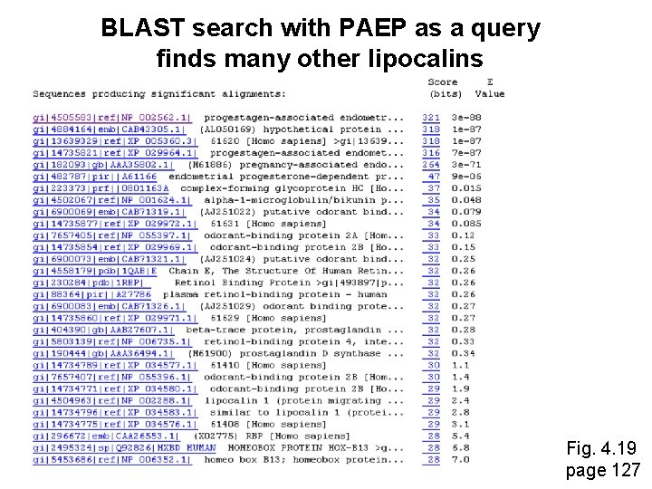 BLAST search with PAEP as a query finds many other lipocalins Fig. 4. 19
