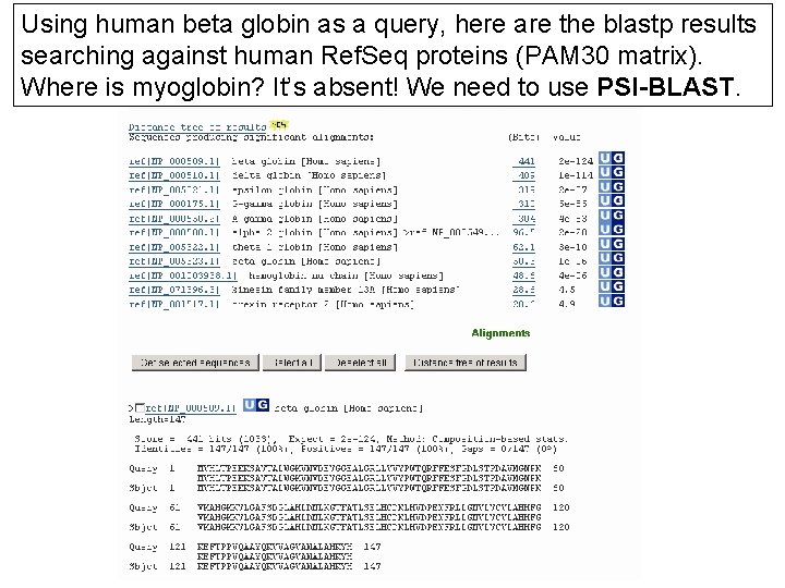 Using human beta globin as a query, here are the blastp results searching against