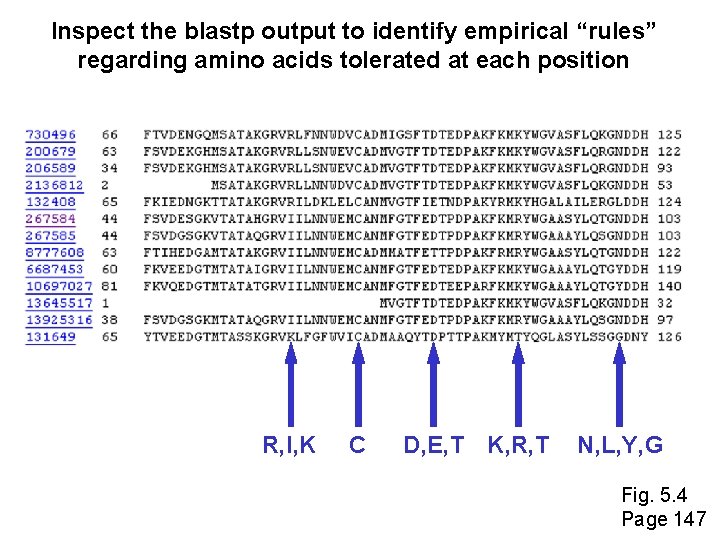 Inspect the blastp output to identify empirical “rules” regarding amino acids tolerated at each