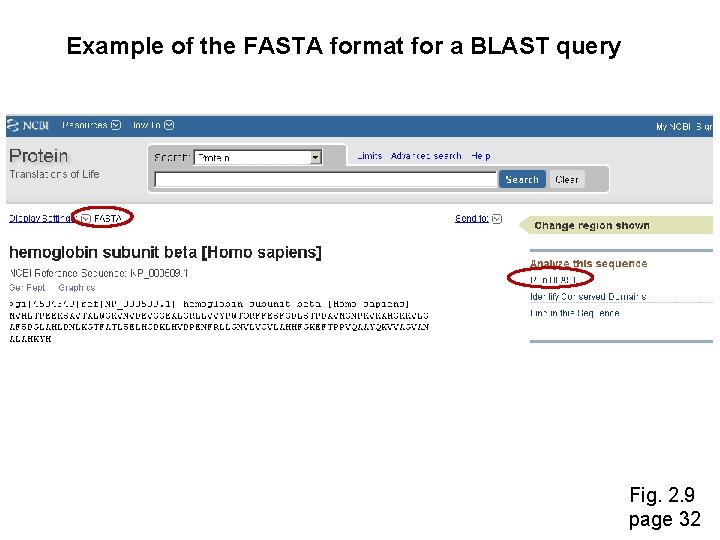Example of the FASTA format for a BLAST query Fig. 2. 9 page 32