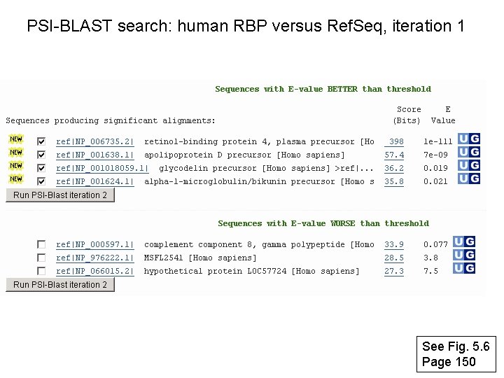 PSI-BLAST search: human RBP versus Ref. Seq, iteration 1 See Fig. 5. 6 Page