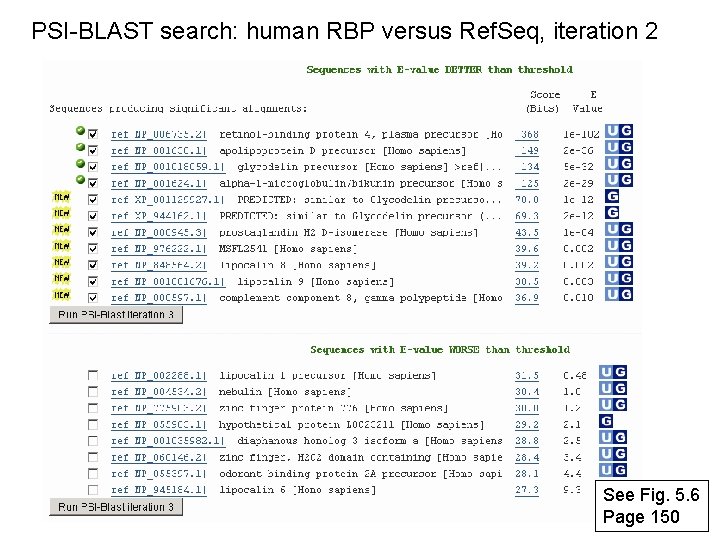 PSI-BLAST search: human RBP versus Ref. Seq, iteration 2 See Fig. 5. 6 Page