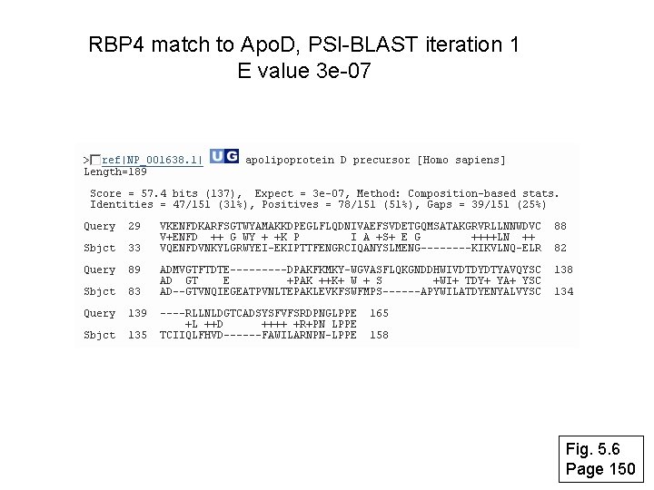 RBP 4 match to Apo. D, PSI-BLAST iteration 1 E value 3 e-07 Fig.