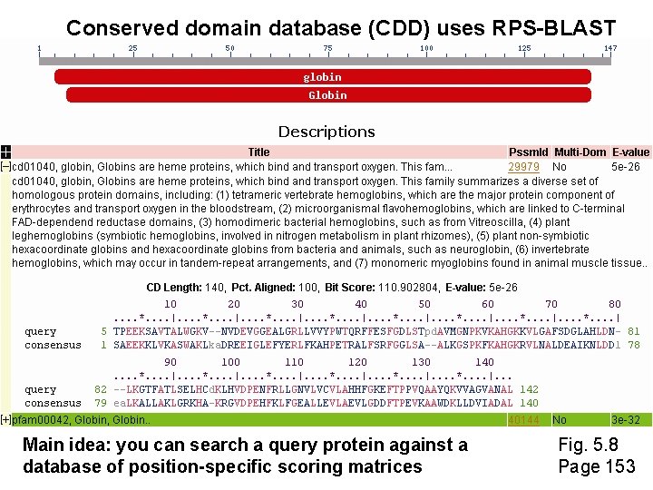 Conserved domain database (CDD) uses RPS-BLAST Main idea: you can search a query protein