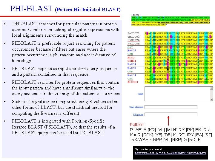 PHI-BLAST (Pattern Hit Initiated BLAST) • PHI-BLAST searches for particular patterns in protein queries.