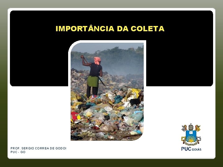 IMPORT NCIA DA COLETA PROF. SERGIO CORREA DE GODOI PUC - GO 