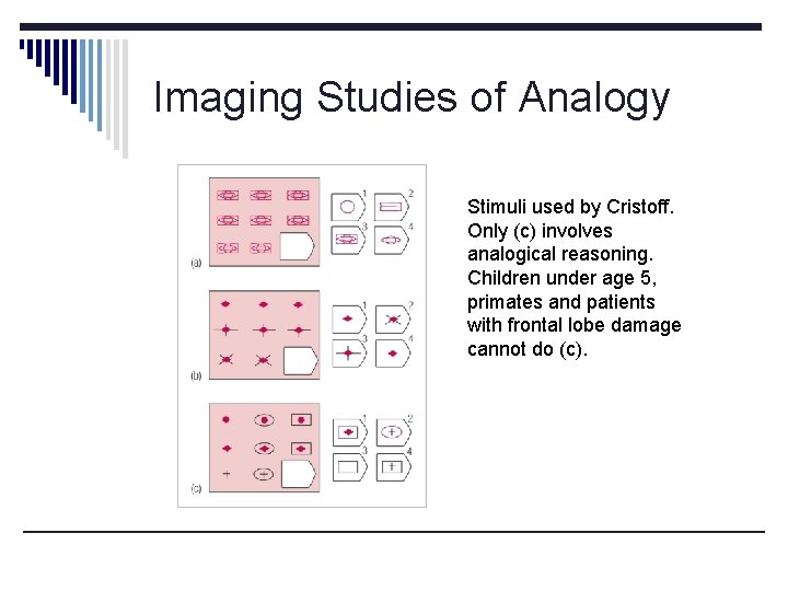 Imaging Studies of Analogy Stimuli used by Cristoff. Only (c) involves analogical reasoning. Children