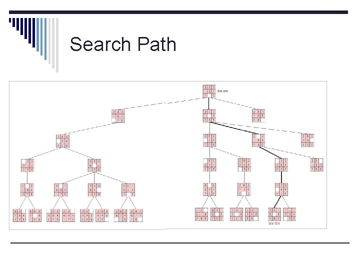 Search Path 