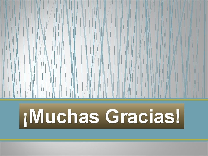 ¡Muchas Gracias! 