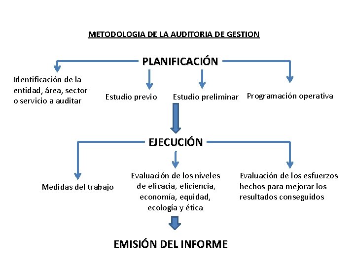 METODOLOGIA DE LA AUDITORIA DE GESTION PLANIFICACIÓN Identificación de la entidad, área, sector o