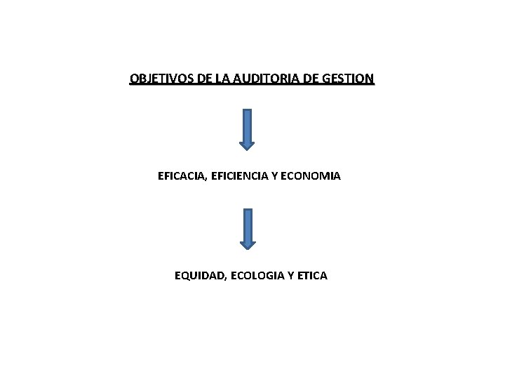 OBJETIVOS DE LA AUDITORIA DE GESTION EFICACIA, EFICIENCIA Y ECONOMIA EQUIDAD, ECOLOGIA Y ETICA