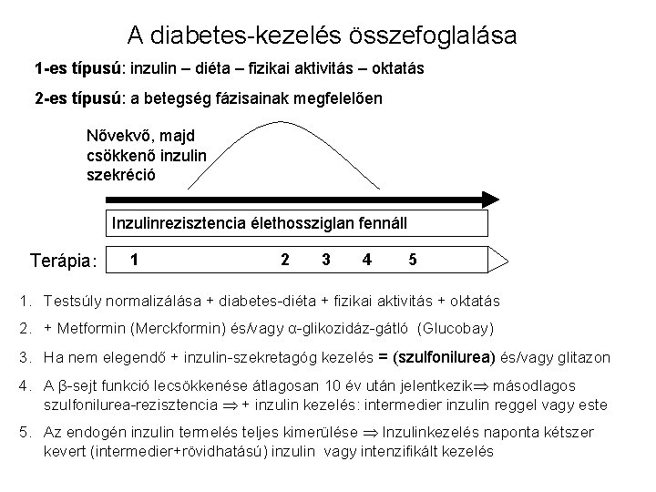 A diabetes-kezelés összefoglalása 1 -es típusú: inzulin – diéta – fizikai aktivitás – oktatás