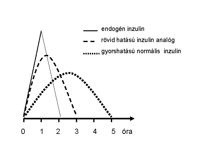 endogén inzulin rövid hatású inzulin analóg gyorshatású normális inzulin 0 1 2 3 4