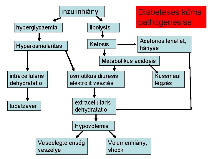 inzulinhiány hyperglycaemia lipolysis Hyperosmolaritas Ketosis Diabeteses kóma pathogenesise Acetonos lehellet, hányás Metabolikus acidosis intracellularis