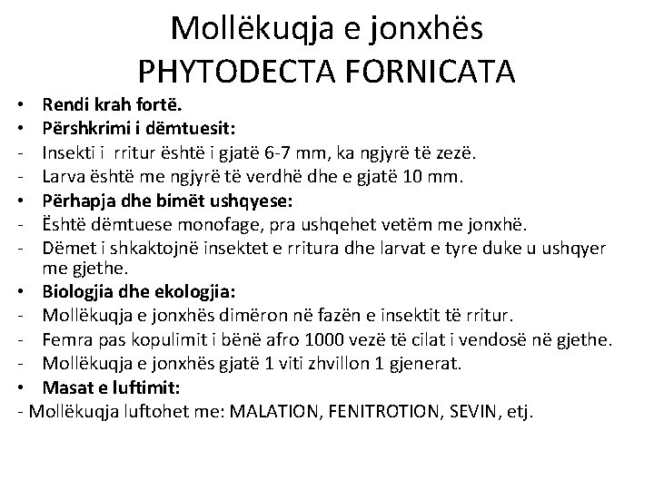 Mollëkuqja e jonxhës PHYTODECTA FORNICATA Rendi krah fortë. Përshkrimi i dëmtuesit: Insekti i rritur