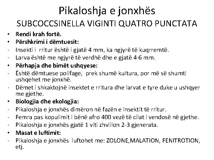 Pikaloshja e jonxhës SUBCOCCSINELLA VIGINTI QUATRO PUNCTATA • • • - Rendi krah fortë.