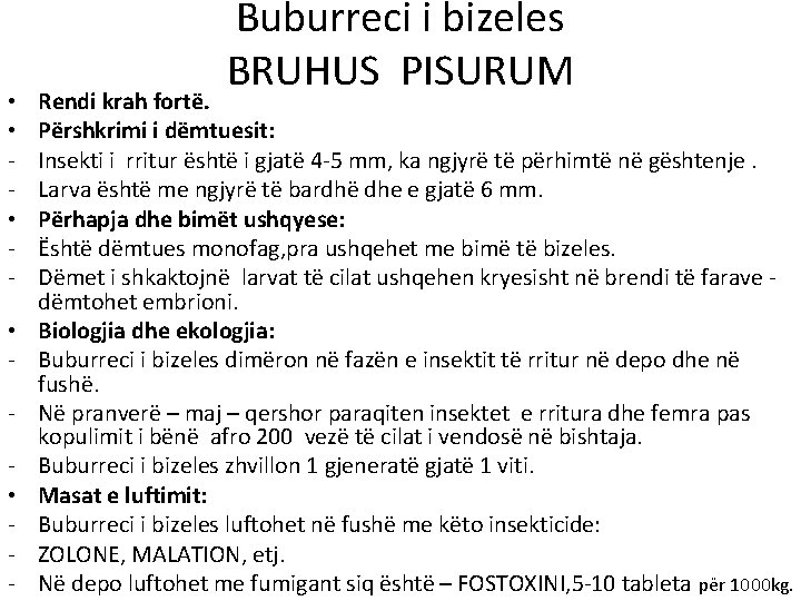  • • • - Buburreci i bizeles BRUHUS PISURUM Rendi krah fortë. Përshkrimi