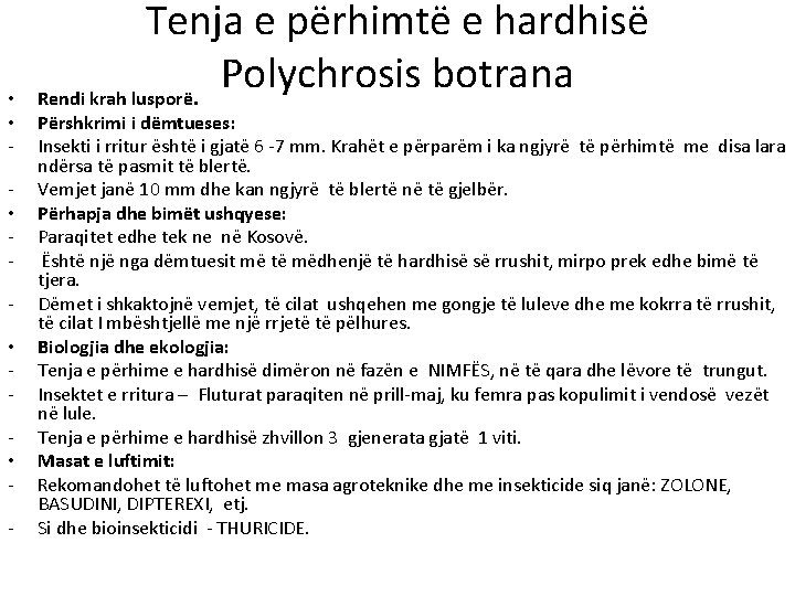  • • • - Tenja e përhimtë e hardhisë Polychrosis botrana Rendi krah